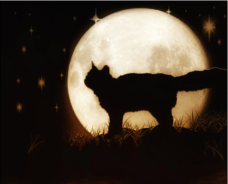 Black cat and full moon